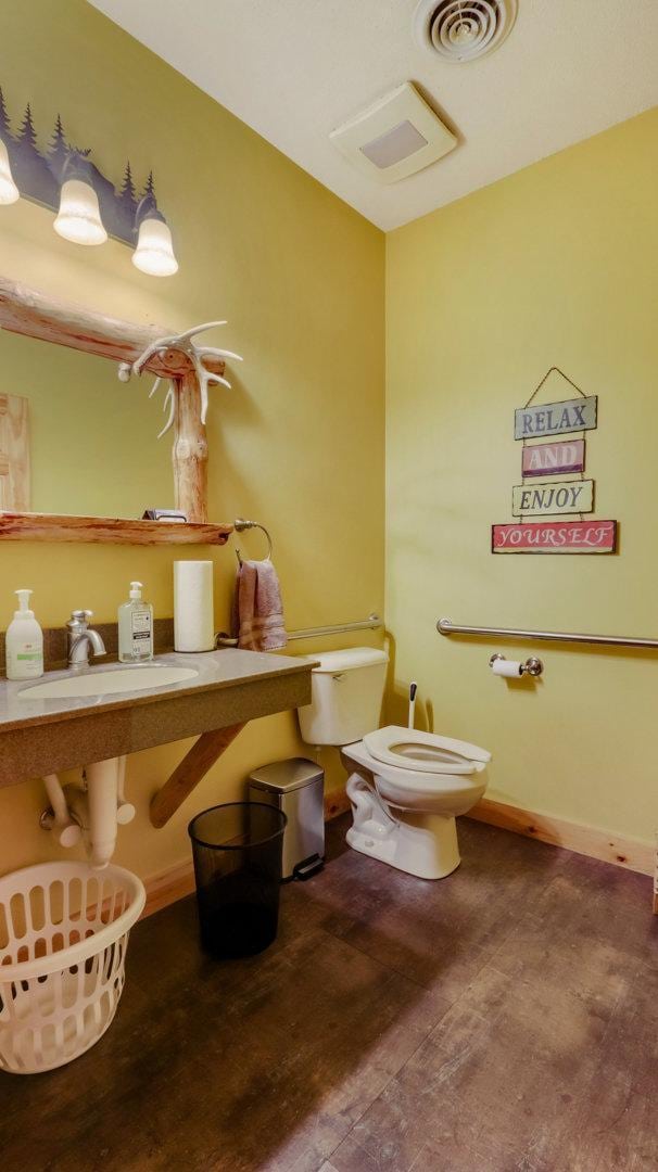 bathroom with wood-type flooring, toilet, and sink