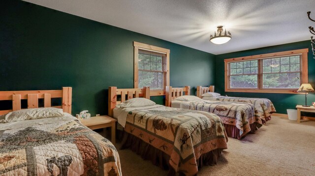 18059 County Highway Oo, Chippewa Falls, WI 54729 - carpeted bedroom with multiple windows