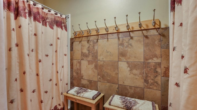 18059 County Highway Oo, Chippewa Falls, WI 54729 - bathroom featuring a shower with shower curtain