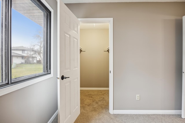 interior space with light colored carpet