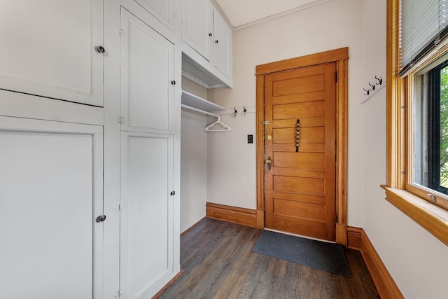 interior space with dark hardwood / wood-style floors