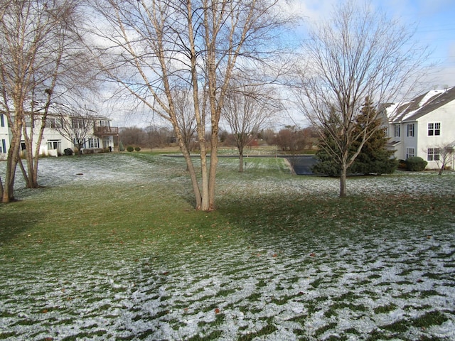 view of yard covered in snow