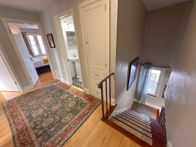 foyer with sink and light hardwood / wood-style flooring