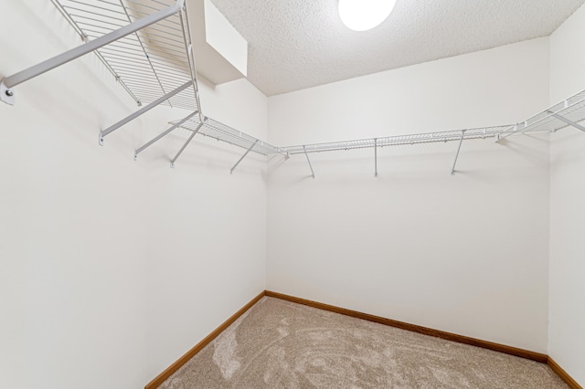 spacious closet with carpet