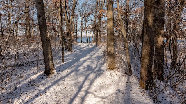 surrounding community with gravel driveway