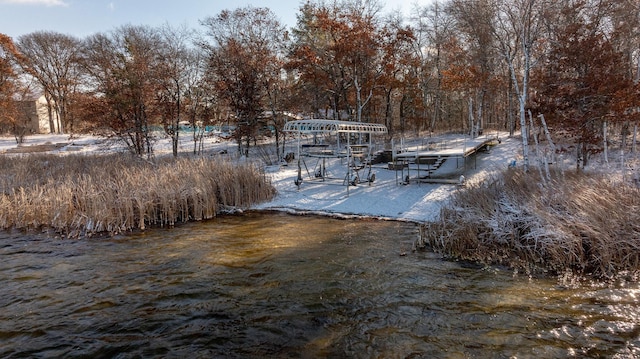 view of yard with a boat dock