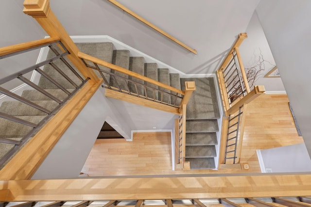 stairs with wood-type flooring