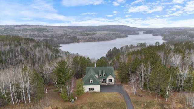 birds eye view of property with a water and mountain view