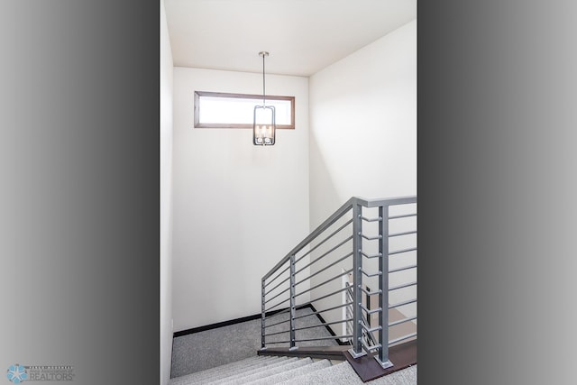 stairs featuring carpet floors