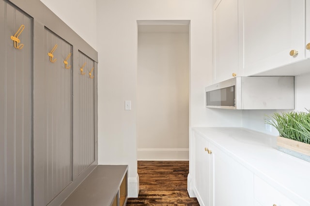 mudroom featuring dark wood-type flooring