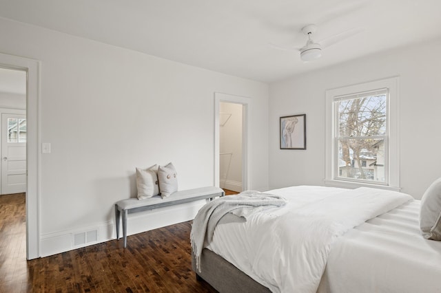 bedroom with dark hardwood / wood-style flooring, a closet, a spacious closet, and ceiling fan