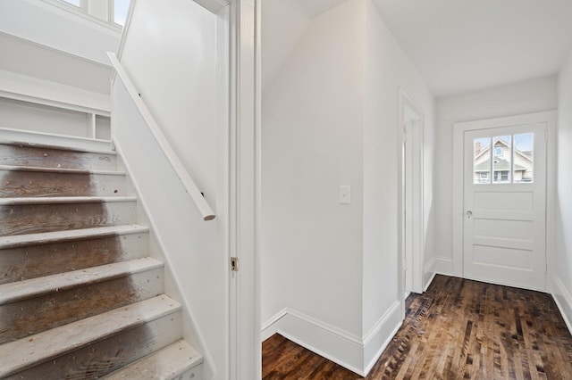 staircase featuring wood-type flooring