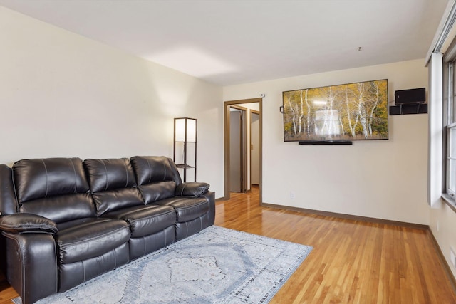 living room with wood-type flooring