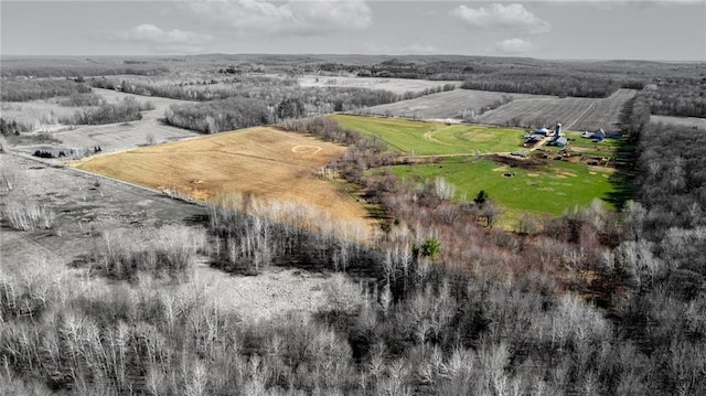 drone / aerial view featuring a rural view