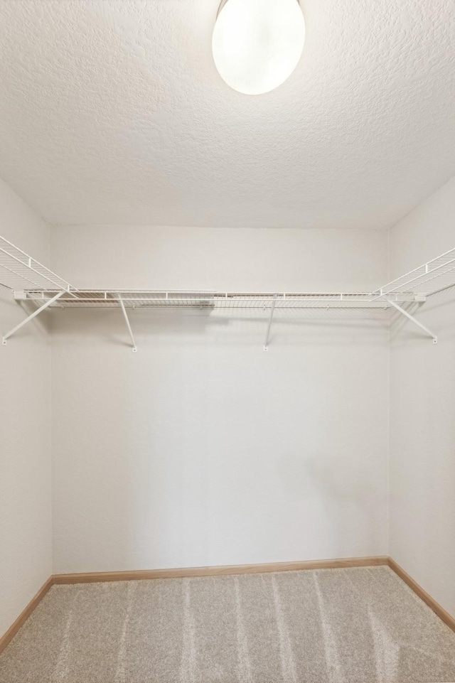 spacious closet with carpet