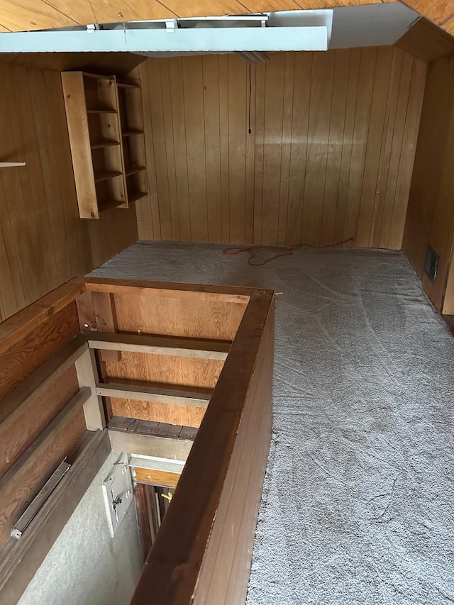 interior space featuring carpet and wooden walls