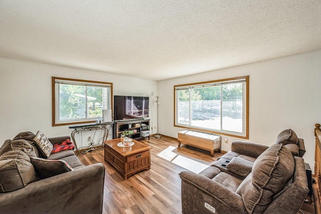 living room featuring a wealth of natural light, light hardwood / wood-style flooring, and a textured ceiling