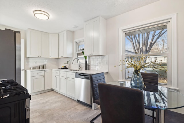 kitchen with white cabinetry, a wealth of natural light, dishwasher, and sink