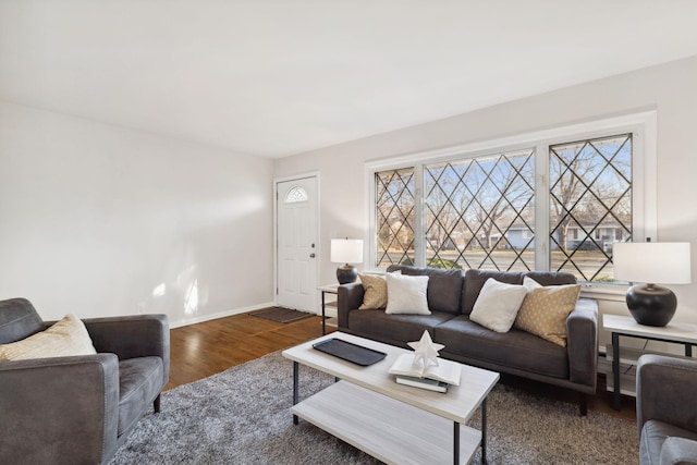 living room featuring dark wood-type flooring