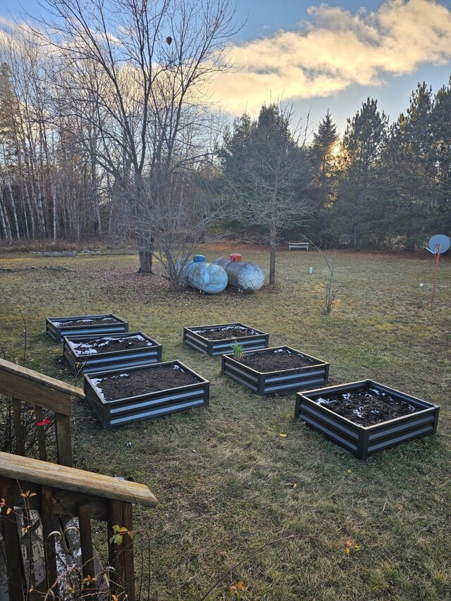 2287 32nd Ave SW, Pine River, MN 56474 - view of green lawn featuring a vegetable garden
