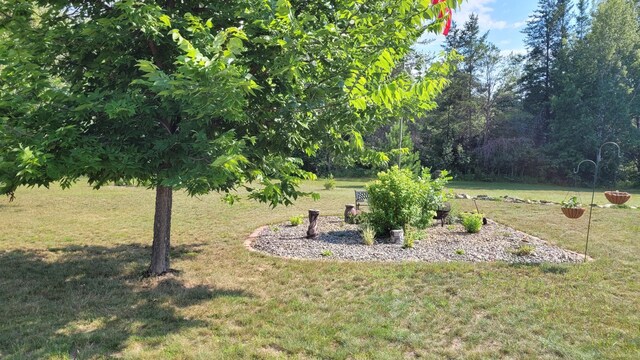 2287 32nd Ave SW, Pine River, MN 56474 - view of green lawn