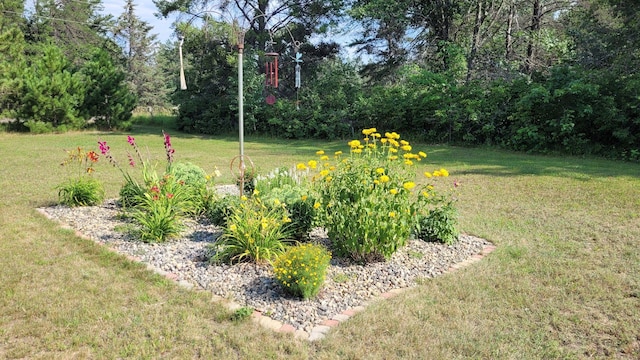 2287 32nd Ave SW, Pine River, MN 56474 - view of grassy yard