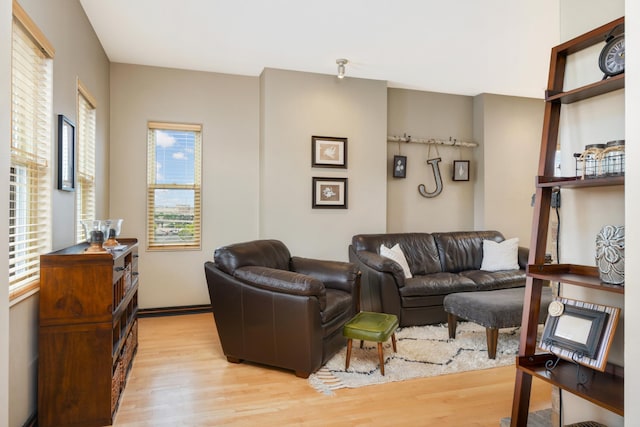 living room featuring light wood-type flooring