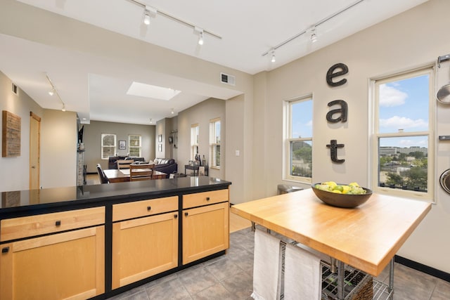 kitchen with plenty of natural light, track lighting, light brown cabinetry, and a skylight