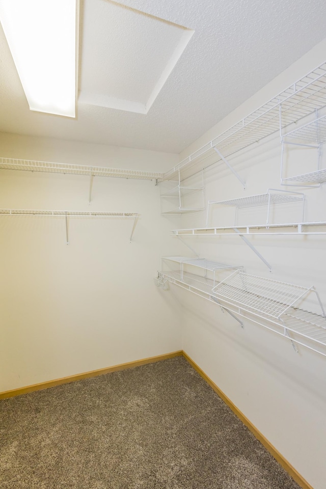 spacious closet with carpet floors