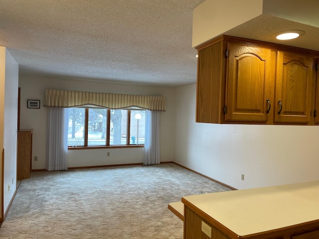 interior space featuring light carpet and a textured ceiling