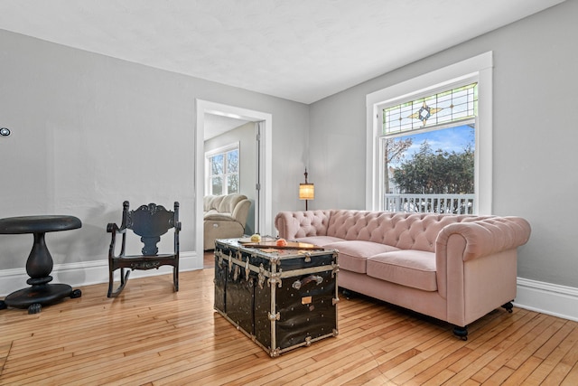 living room with light hardwood / wood-style flooring