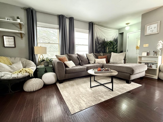 living room featuring dark wood finished floors