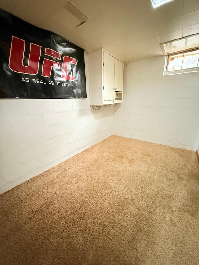 basement with carpet flooring and concrete block wall