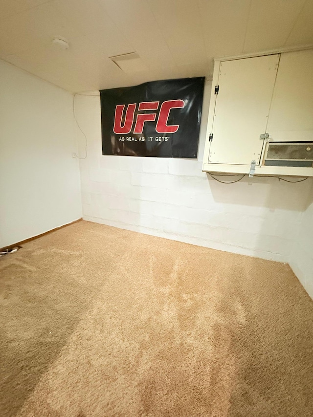 room details with carpet