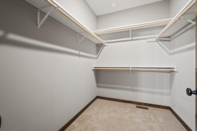 spacious closet with light carpet