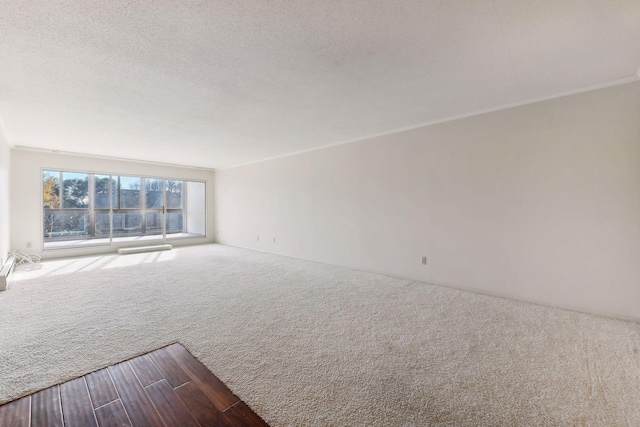 empty room with ornamental molding, carpet flooring, and a textured ceiling