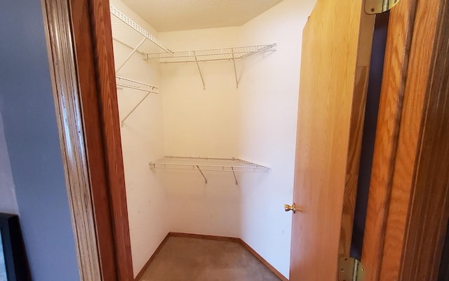 view of walk in closet