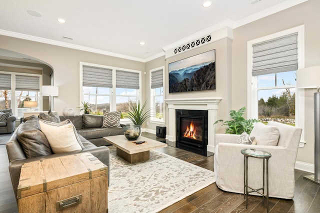 living room featuring crown molding and dark hardwood / wood-style floors