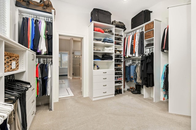 spacious closet featuring light carpet