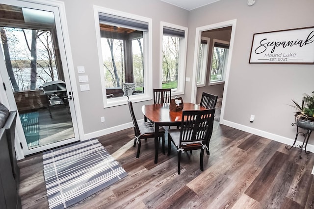 dining room with dark wood-type flooring