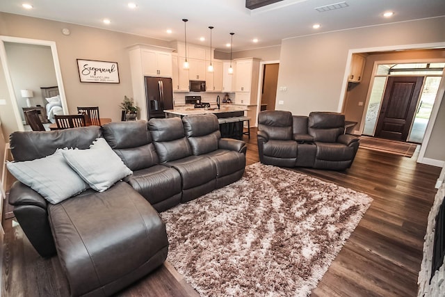 living room featuring sink and dark wood-type flooring