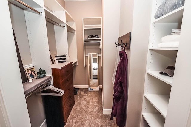 walk in closet with carpet