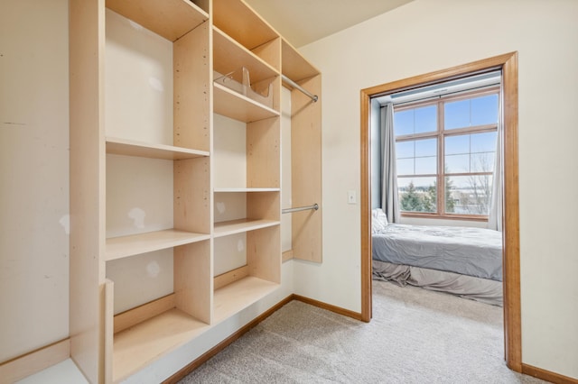 walk in closet with carpet