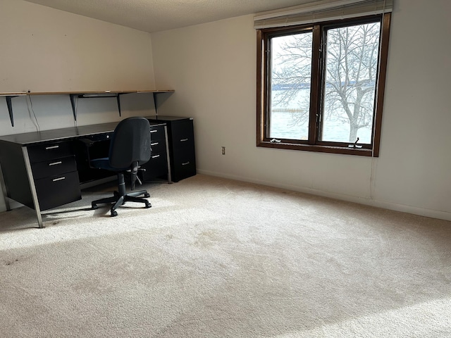 office space featuring a textured ceiling and light colored carpet