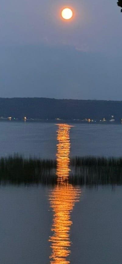 view of water feature