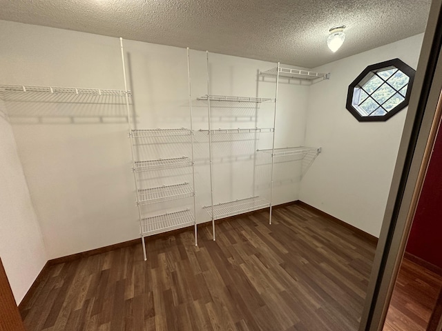 walk in closet with wood finished floors