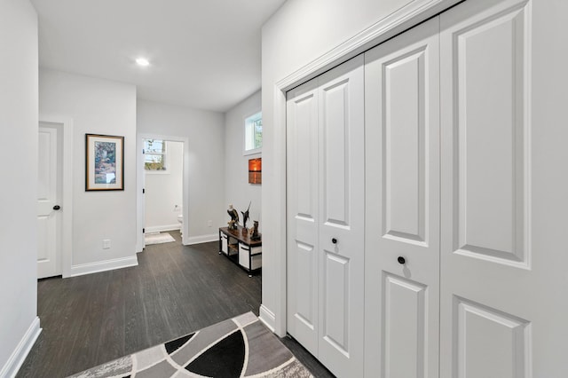 hallway featuring dark hardwood / wood-style floors