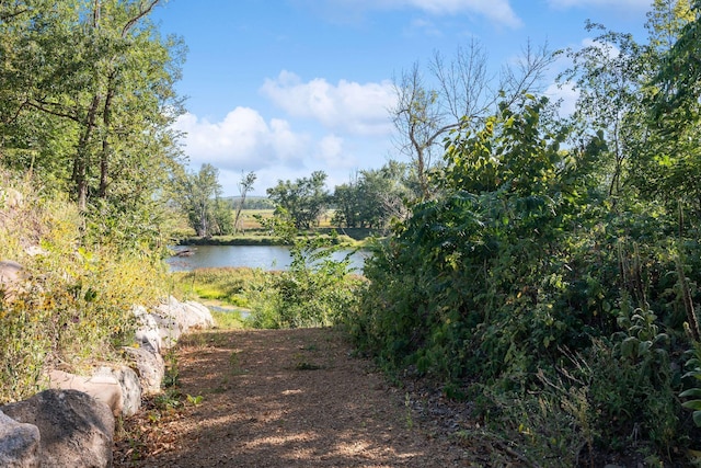 property view of water