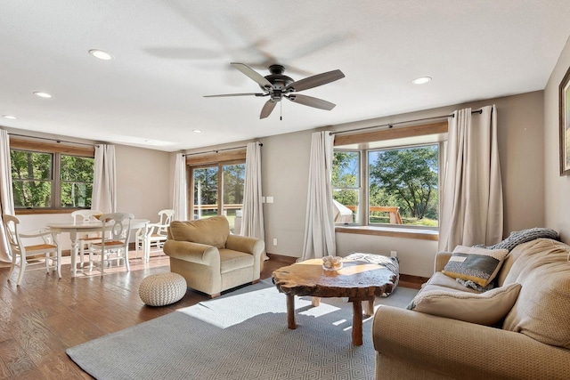 living room with ceiling fan and hardwood / wood-style flooring