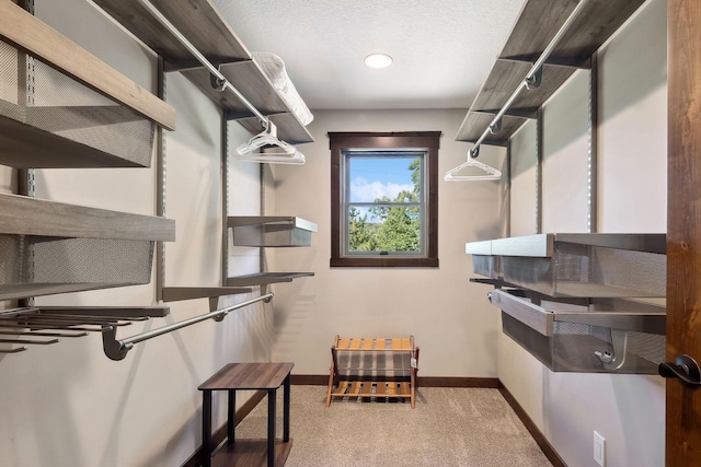 spacious closet with light carpet